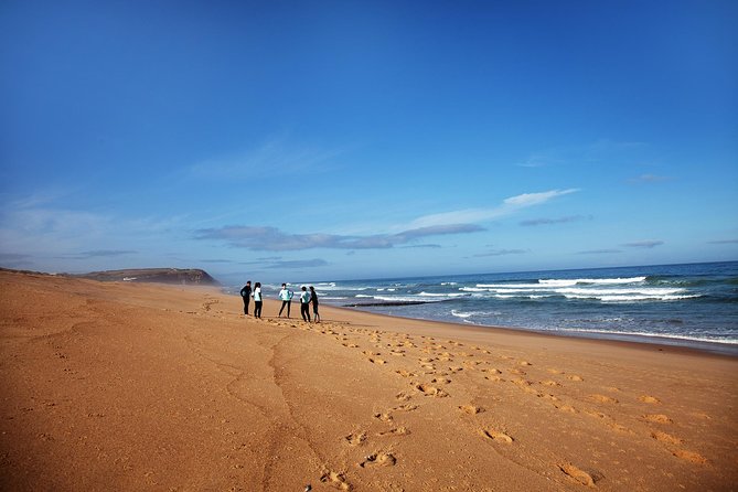 1 day surfing with Atlantic Coast Surf School - Praia Azul in Silveira: Why this coast works for all levels