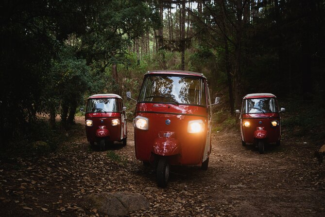 1-Hour Guided Tuk-Tuk Tour in Sintra - Sabuga Fountain: a healing-water legend in 10 minutes