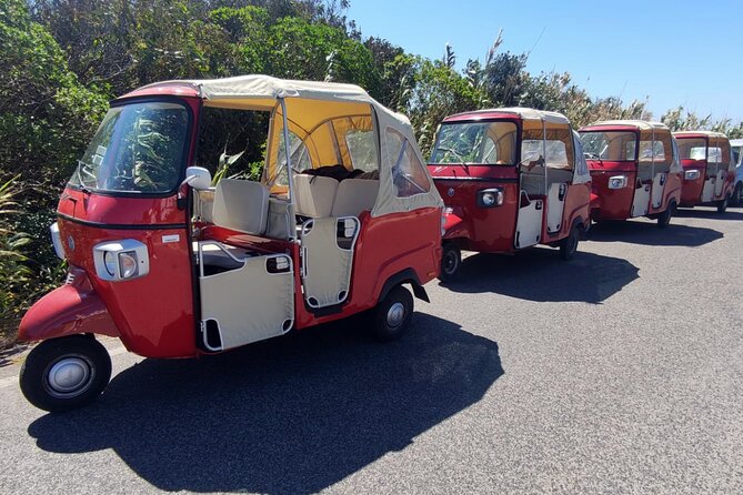 1-Hour Guided Tuk-Tuk Tour in Sintra - Sintra National Palace viewpoints: quick photos, no ticket headache
