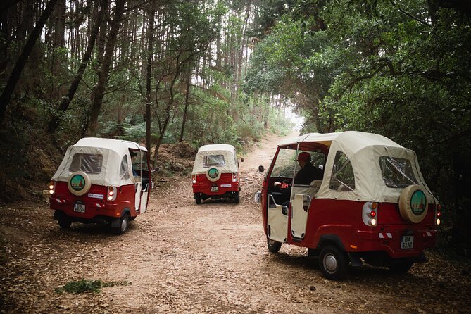 1-Hour Guided Tuk-Tuk Tour in Sintra - Palácio e Parque Biester: architecture and mood in a forest pocket