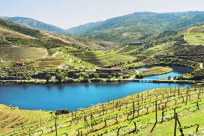 10-Days / Private Tailored Trip of Portugal (Best Highlights) - The Big Portugal Loop: Lisbon, Coimbra, Sintra, and the Road to Porto