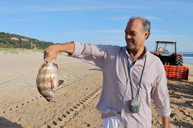 A Day of Tastes, Views & Heritage, tour from Lisbon - Palmela lunch from the morning catch: seafood tasting the local way