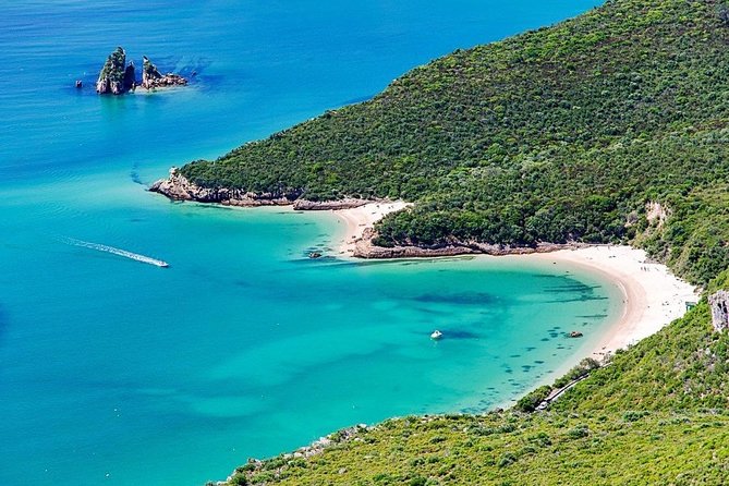 Arrábida and Setúbal Private Full Day Sightseeing Tour from Lisbon - Palacio da Bacalhoa: Second Tasting with a Different Feel