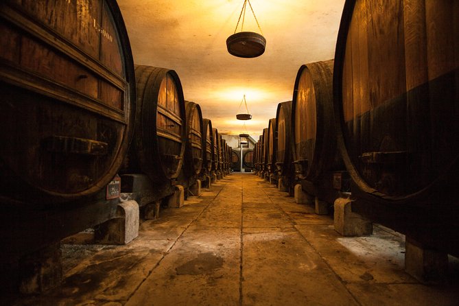 Arrabida Full Day Private Tour with Wine Tasting - Lisbon Pickup and the Comfort of Private Transport