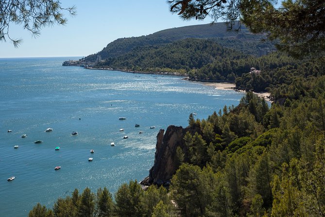 Arrabida Full Day Private Tour with Wine Tasting - Palacio da Bacalhoa in Azeitão: Muscatel Wine Tasting Time