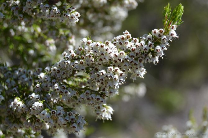 Arrábida Jeep Tour – Incredible Market & Hidden Gems - Portinho da Arrábida: quick sea-sun break for photos and refresh