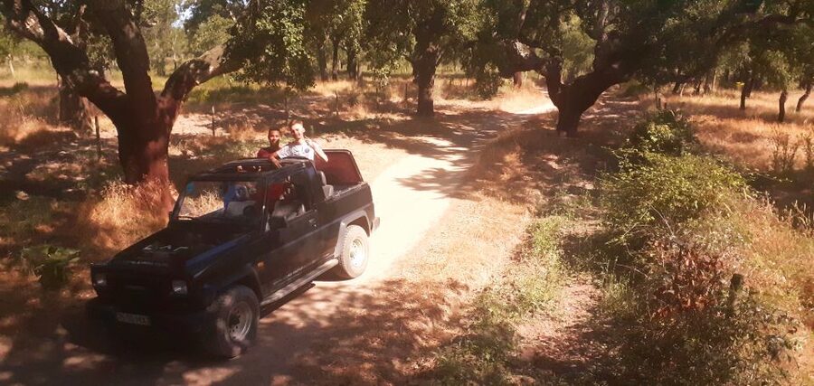 Arrábida Jeep tour to the most beautiful beach of Europe - Snack stop views: the little break between mountain and ocean