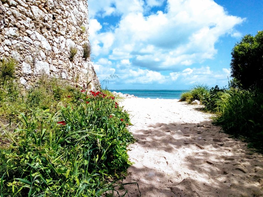 Arrábida Jeep tour to the most beautiful beach of Europe - Sesimbra on the way back: the quick city-to-coast finish