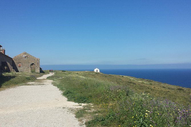 Arrábida Natural Park Private Tour from Lisbon - Palmela wine tasting: where the afternoon turns relaxed