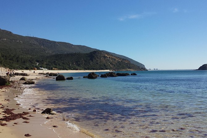 Arrábida Natural Park Private Tour from Lisbon - Setúbal market stop: the quick taste of local life