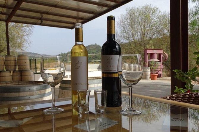 Arrábida Palmela Azeitão Private Tour - W/ Wine Tasting & Tapas - The long Tagus bridge stop that flips your brain into “Portugal mode”