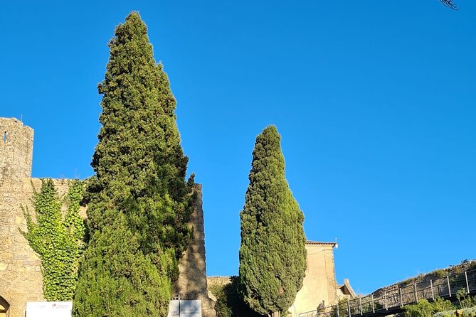 Arrábida: Private Setubal Highlights Tour (Full Day) - Forte de São Filipe: 14th-century ideas made into a coastal defense