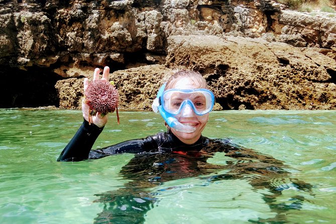 Arrábida Snorkeling Adventure with Transfer from Lisbon - From Lisbon to Arrábida: the 8:00 start and real value at $96.02