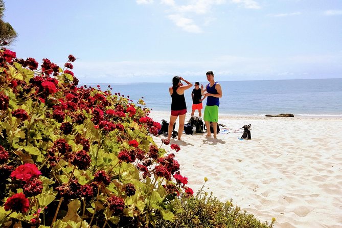 Arrábida Snorkeling Adventure with Transfer from Lisbon - What to pack and how to prepare for moderate walking
