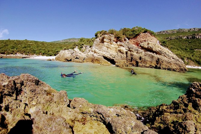Arrábida Snorkeling Adventure with Transfer from Lisbon - When the sea turns messy: cancellations and making the day still work