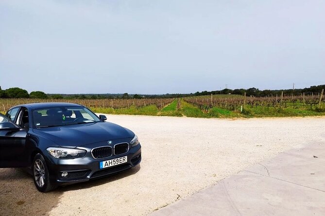 Arrábida Wine Tour - 3 Wineries, Traditions & Views from Lisbon - Key points