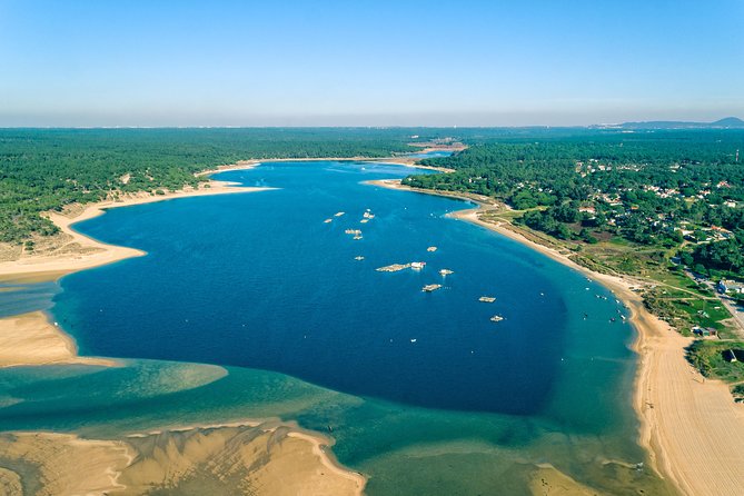 Arrabida Wine Tour from Lisbon: Wineries, Tastings & Tile Factory - Key Highlights You Should Not Skip