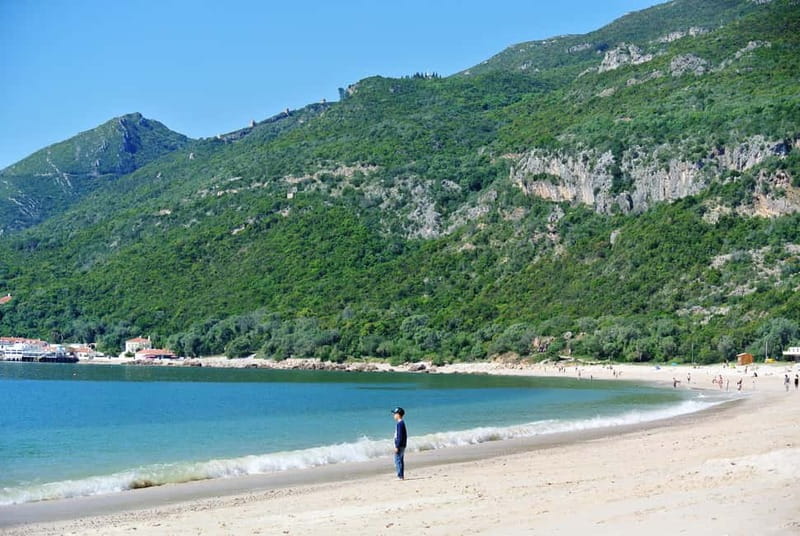 Arrabida Wine Tour - Lisbon: Wineries-Tastings-Tile Factory - Key Highlights You’ll Care About
