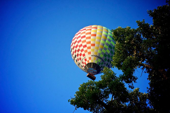 Balloon Ride with Complimentary Drink from Coruche - The 60–90 minute balloon ride: soaring over river bends and fields