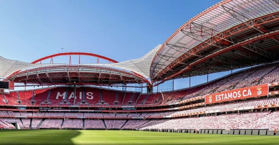 Benfica Stadium and Museum Tour - Who should book this Benfica tour, and who should skip it