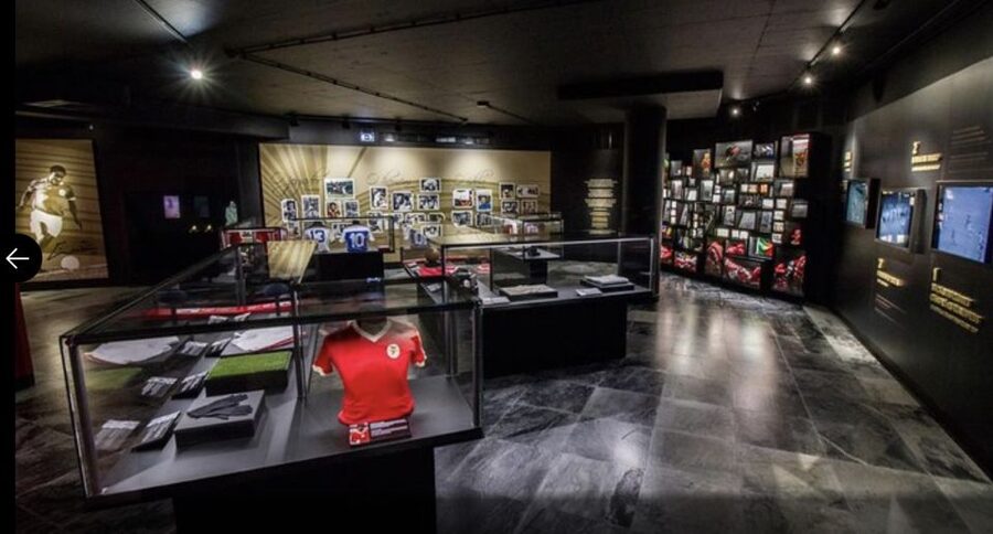 Benfica Stadium and Museum Tour - The best moment: stepping onto the great lawn