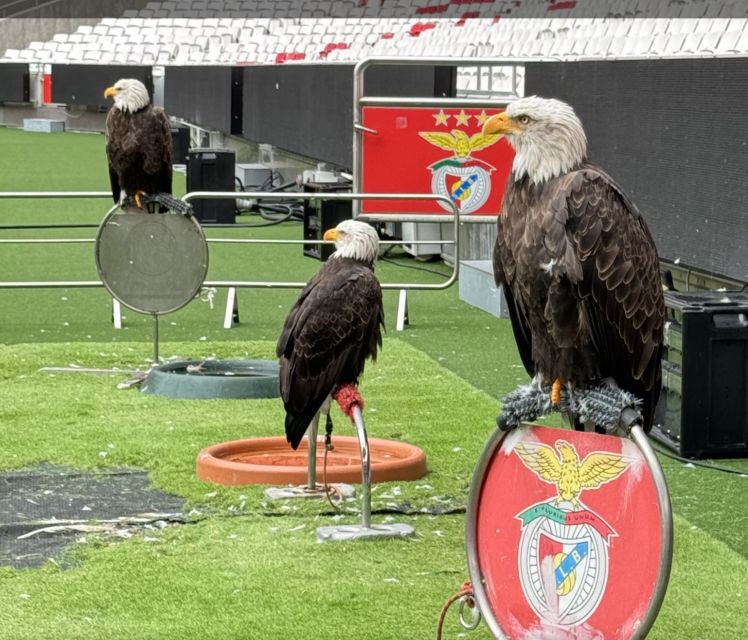 Benfica Stadium and Museum Tour - Cosme Damião Museum: from iconic names to the real materials
