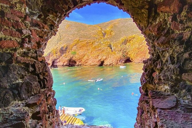 Berlenga Grande Island Private Tour from Lisbon - Price and what $252.62 per person really buys
