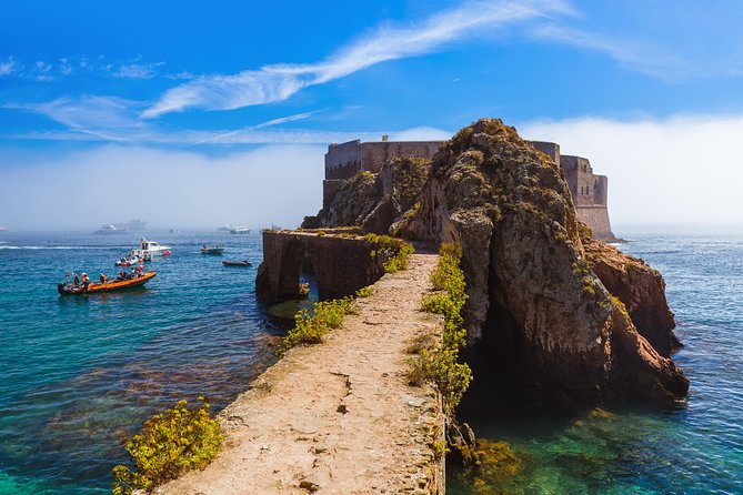 Berlenga Island Full Day Tour from Lisbon - My take: should you book the Berlenga Island Full Day Tour?