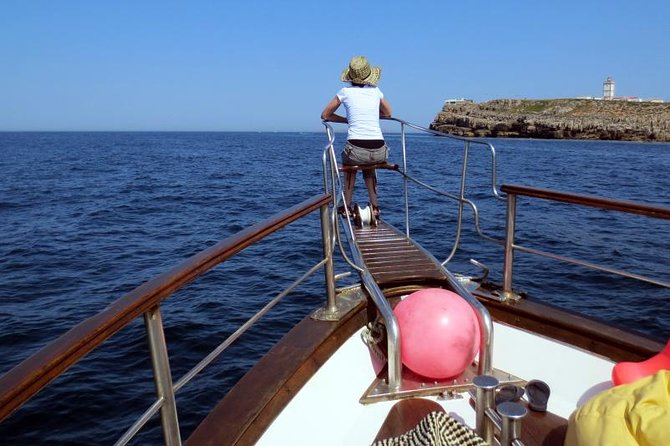 Berlenga Island Small-Group Day Trip from Lisbon - Getting from Lisbon to Peniche: the 8:00 start and the ride out