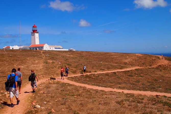 Berlenga Island Small-Group Day Trip from Lisbon - On Berlenga Grande: fort walk, then nature reserve exploring