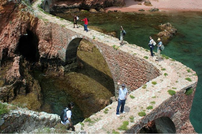 Berlenga Island Small-Group Day Trip from Lisbon - Lunch on the seafront: plan for buying food or bringing a picnic