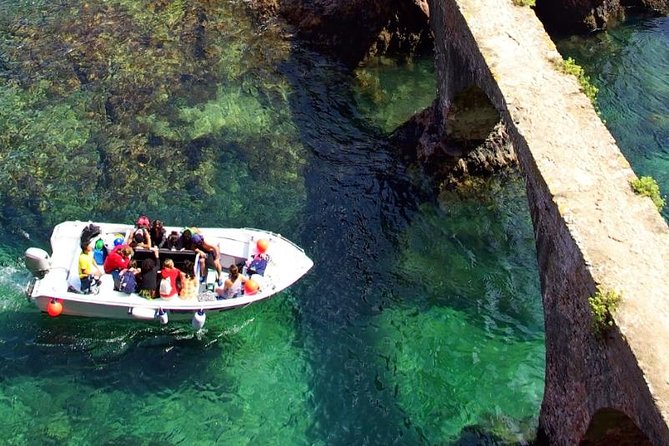 Berlenga Island Small-Group Day Trip from Lisbon - Price and value: what $120.98 actually buys you