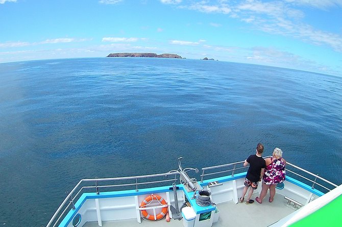 Berlengas Island Catamaran Tour - Round Trip - Underwater viewing: what you can expect (and what changes with weather)