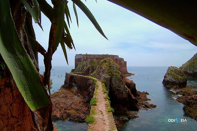 Berlengas Island Catamaran Tour - Round Trip - Price and value: what your $54.01 really covers