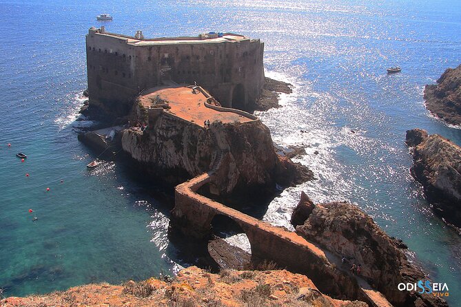 Berlengas Island Catamaran Tour - Round Trip - Who should book this tour, and who should pause?