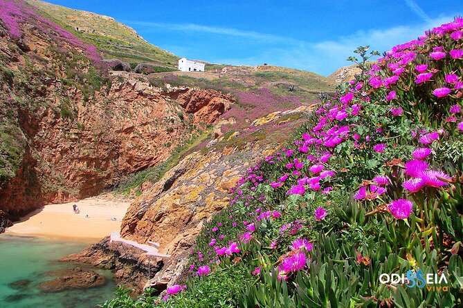 Berlengas Island Catamaran Tour - Round Trip - Practical expectations: timing and the “half-day reality check”
