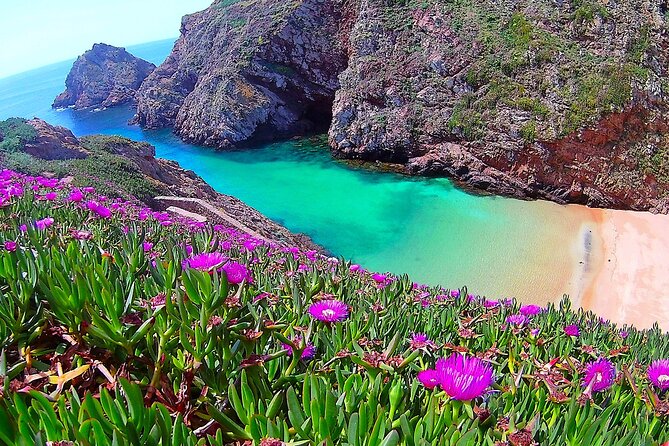 Berlengas Island Catamaran Tour - Round Trip - The catamaran from Peniche: sea views, lighthouse sightings, and dolphin odds