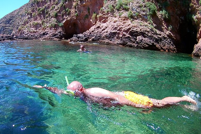 Berlengas Island Catamaran Tour + Snorkeling - Key highlights you’ll care about