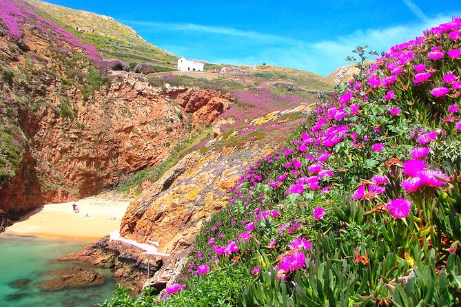 Berlengas Island Catamaran Tour + Snorkeling - Who this tour is best for (and who should think twice)