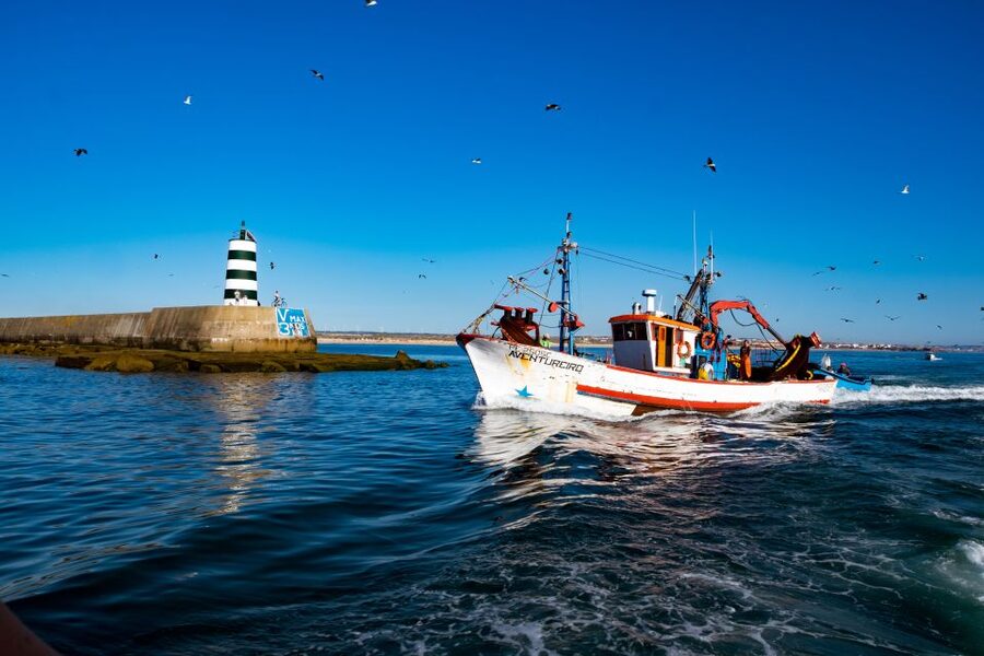 Berlengas The Atlantic Frontier: Day Tour from Lisbon - Returning to the port: your lunch options are simple, not endless