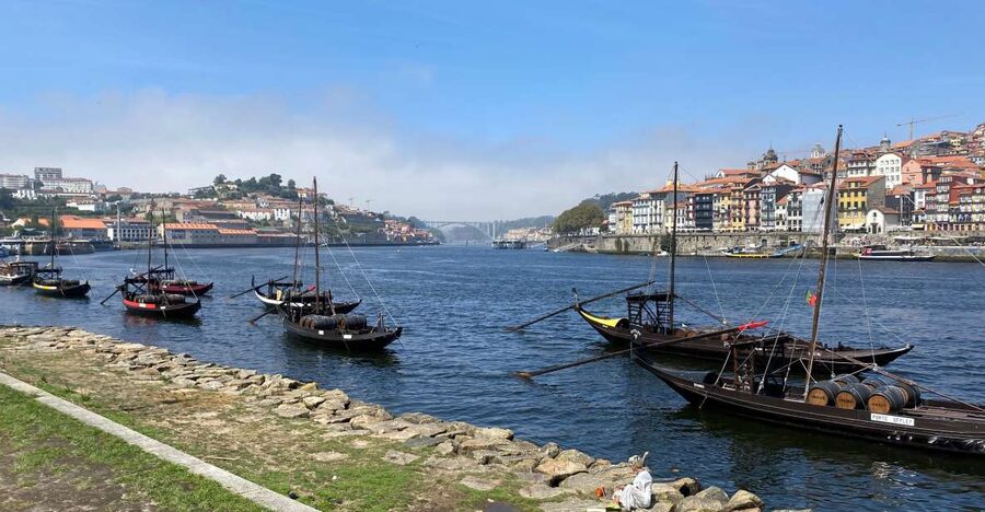 Best of Porto - Private Tour from Lisbon - Livraria Lello: a stop for classic Porto fandom, plus practical planning