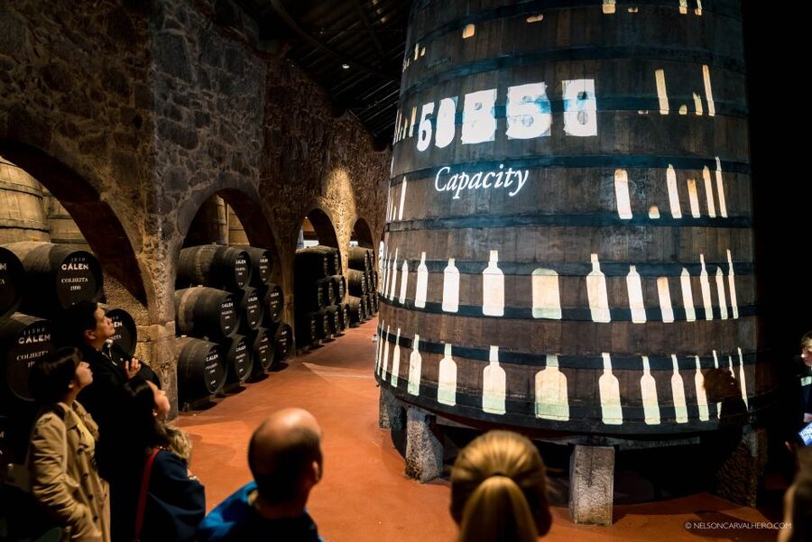 Best of Porto - Private Tour from Lisbon - Who this Porto tour is best for