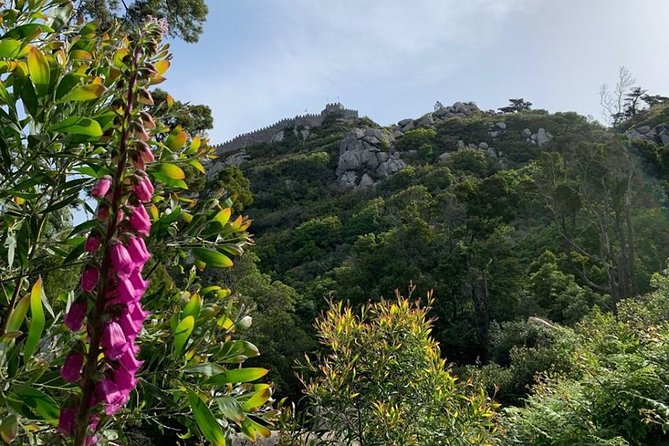 Best Of Sintra & Cascais with Locals - Stop 2: Monserrate Palace and its 33-hectare gardens (1 hour, tickets not included)