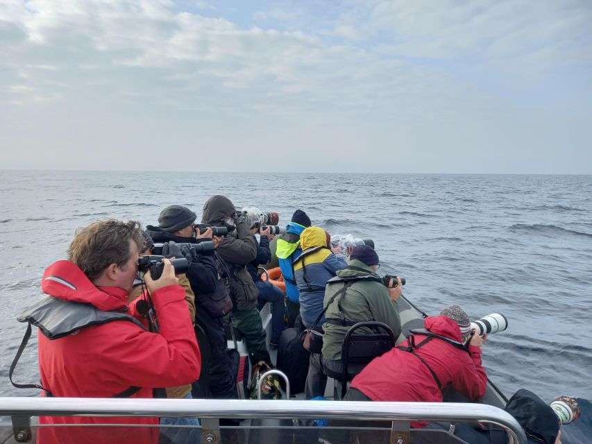 Birdwatching Boat Tour in the Tagus Estuary - What’s included (and what that means for real value)