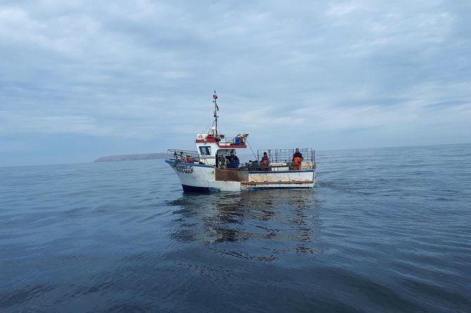 Boat and Kayak at Berlenga Natural Reserve - Peniche and Fortaleza: Why the Land Stops Matter