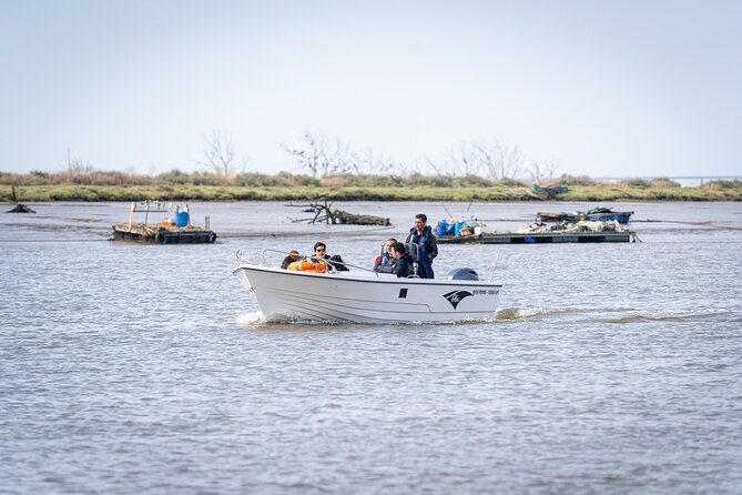 Boat Tour - Bird Observation in the Tejo Nature Reserve - What to Bring (and what to expect when rain shows up)