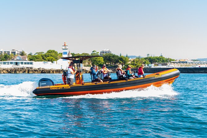 Cascais coast: Dolphin watching - Key Things To Know Before You Go