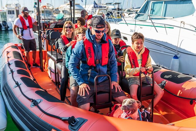 Cascais coast: Dolphin watching - Price and Value: Is $78.02 Worth It?