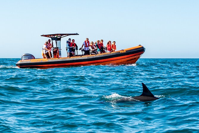 Cascais coast: Dolphin watching - Safety-First At Sea: Jackets, Life Vests, and Dolphin Distance