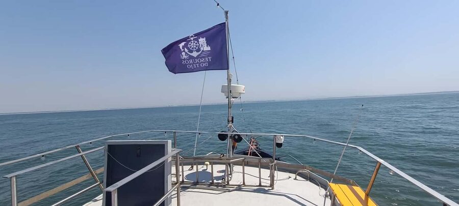 Cascais Coastal Secrets: 90-Minute Cruise with Free Drinks - Price and Value: What You’re Really Paying For